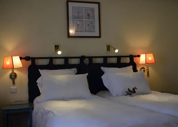 Auberge du Cheval Blanc